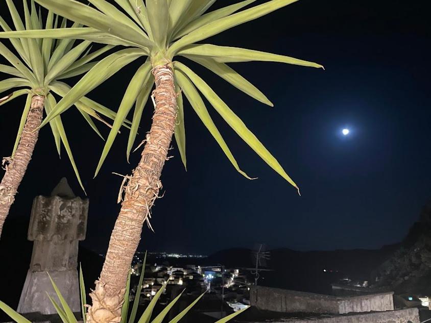 צ'יוויטה B&B Dhafna מראה חיצוני תמונה